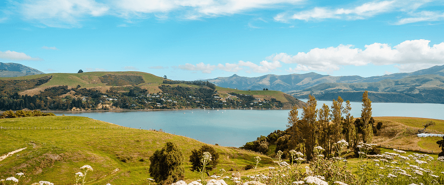 New Zealand coast